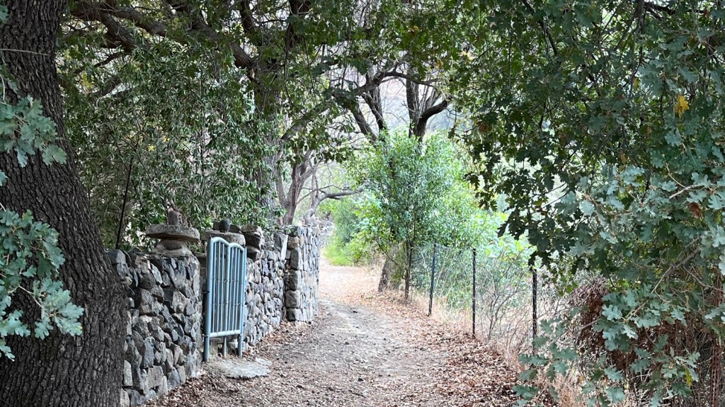 Path along stone wall with gate and trees arching overhead