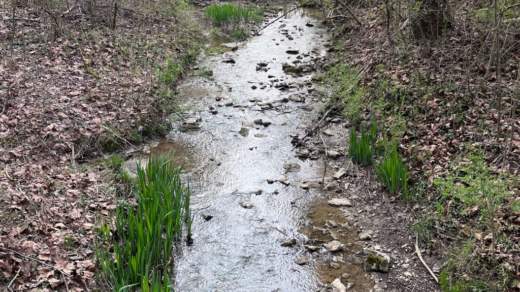 The rain has&nbsp;come