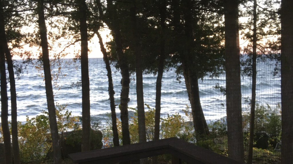A lake with waves kicking up through trees along the shoreline.