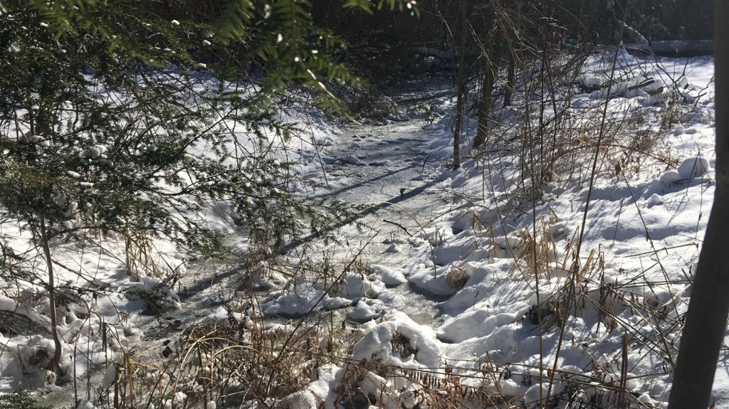 What the snow&nbsp;shows